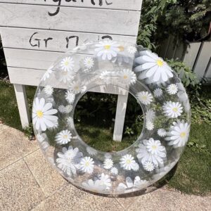 韓系透明游泳圈