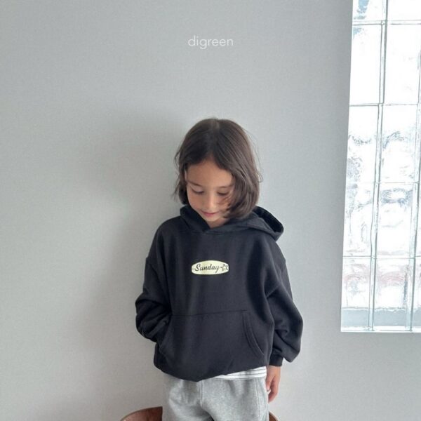 🇰🇷Digreen sunday連帽Tee